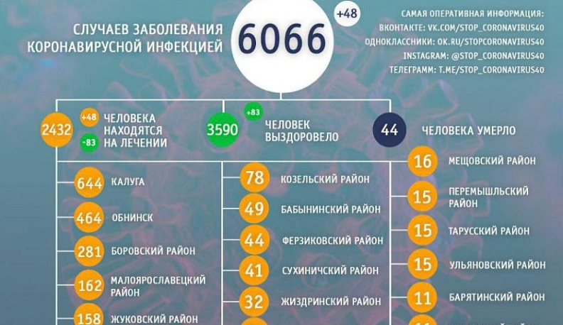 В Калужской области обновили статистику по коронавирусу на конец июня