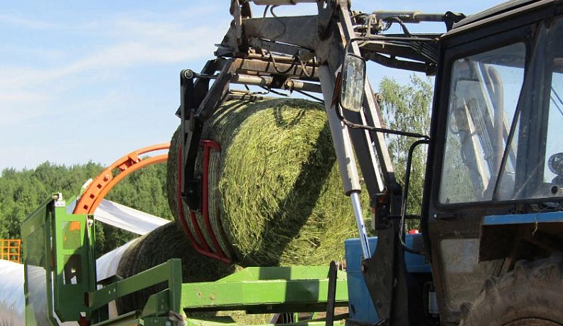 Кто запаслив, тот и счастлив