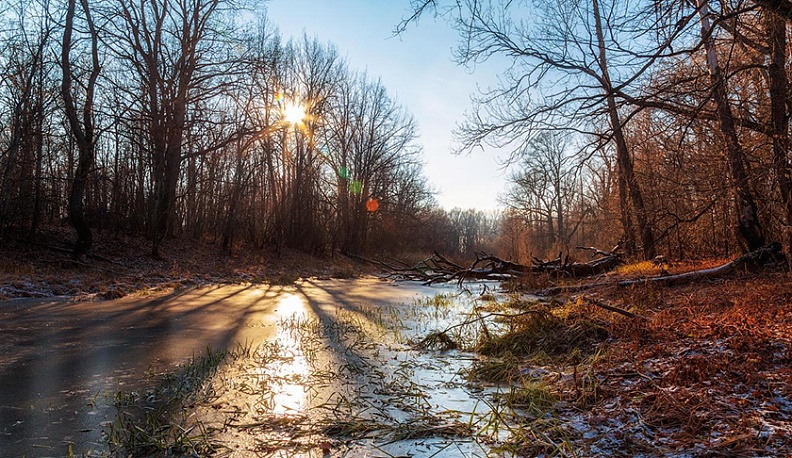В Калуге сегодня похолодает 