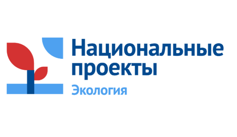 Калужская область перевыполнила годовой план по восстановлению лесов ресурсов