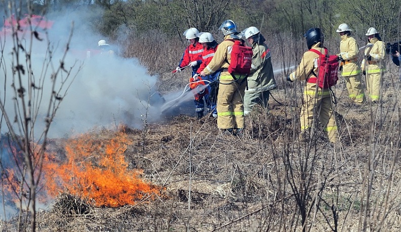 Как бороться с весенним палом травы?