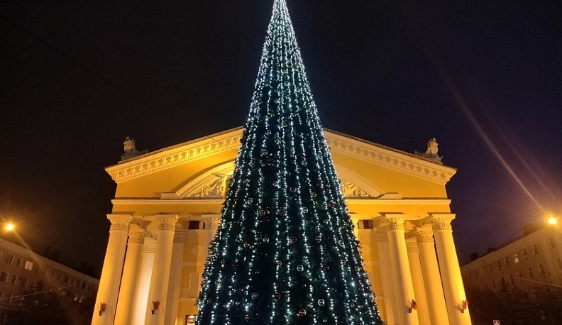 Калужанам рассказали, куда сдавать новогодние елки