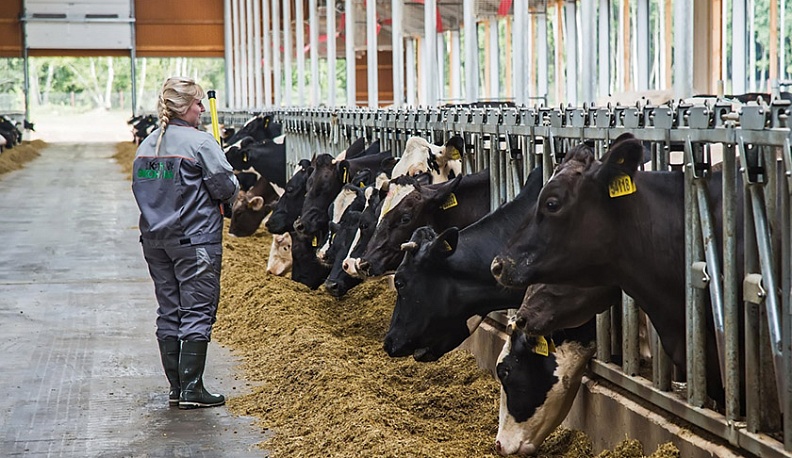 Калужский агромпром в период пандемии работает стабильно