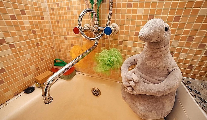 Почти на сутки калужский Терепец останется без воды