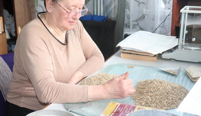 Сеятели успеха