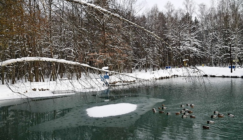 430 спасателей будут дежурить на крещенских купаниях в Калужской области