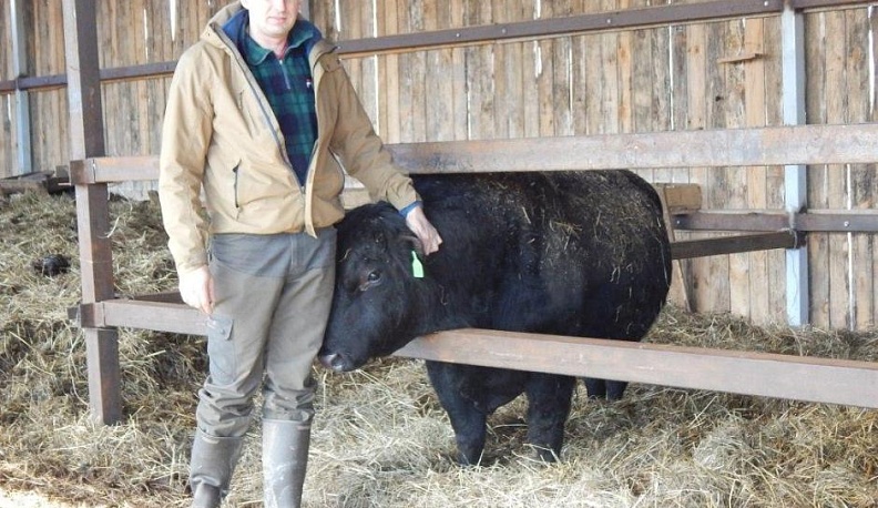 Такая работа