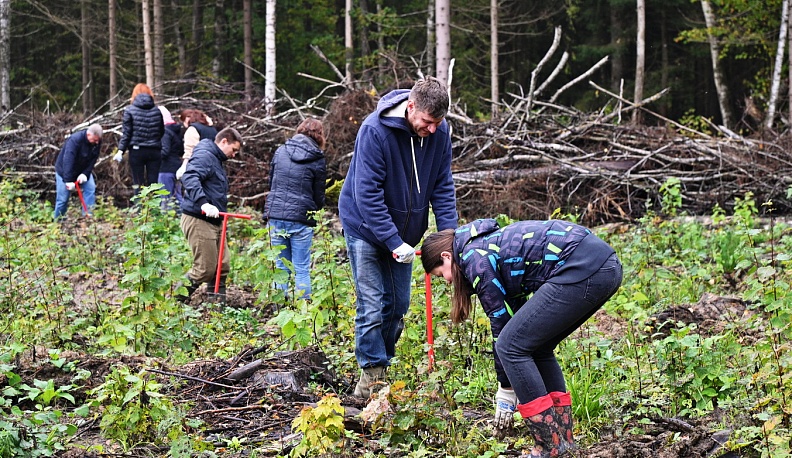 В Калужской области в Малоярославецком лесничестве прошла масштабная посадка леса