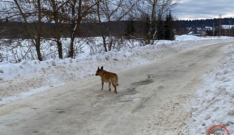 УСТРАНИТЬ УГРОЗУ