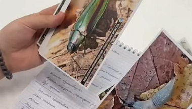 В Калуге стартовала профильная учебная смена для юных лесоводов