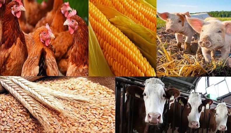 ДЛЯ РАБОТАЮЩИХ НА ЗЕМЛЕ