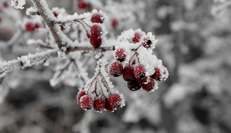 В Калугу ненадолго приходит зима