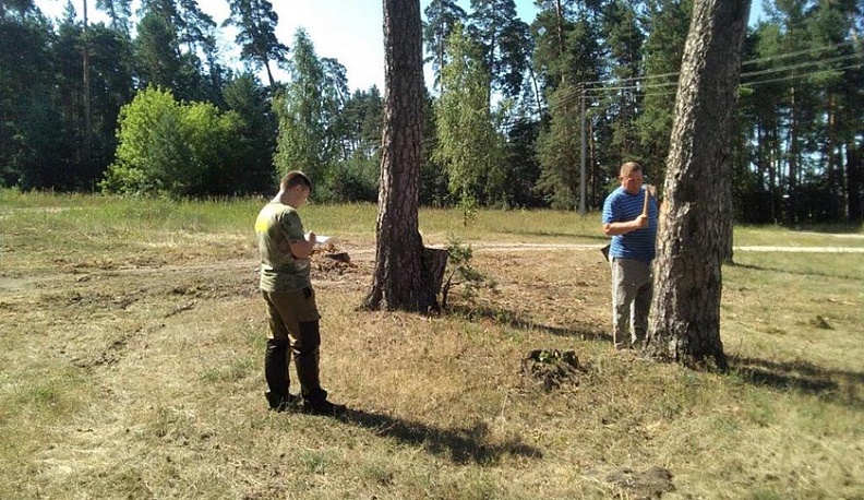 В козельских лесах удалят аварийные деревья 