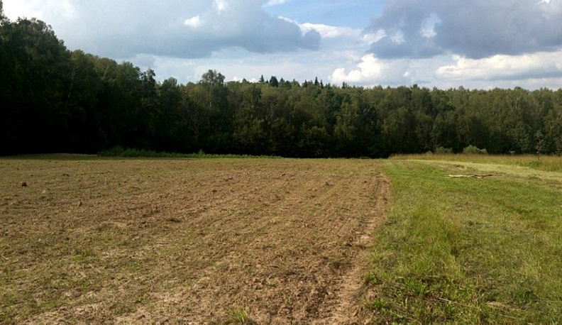 В Калужской области обнаружили 24 несанкционированных свалки