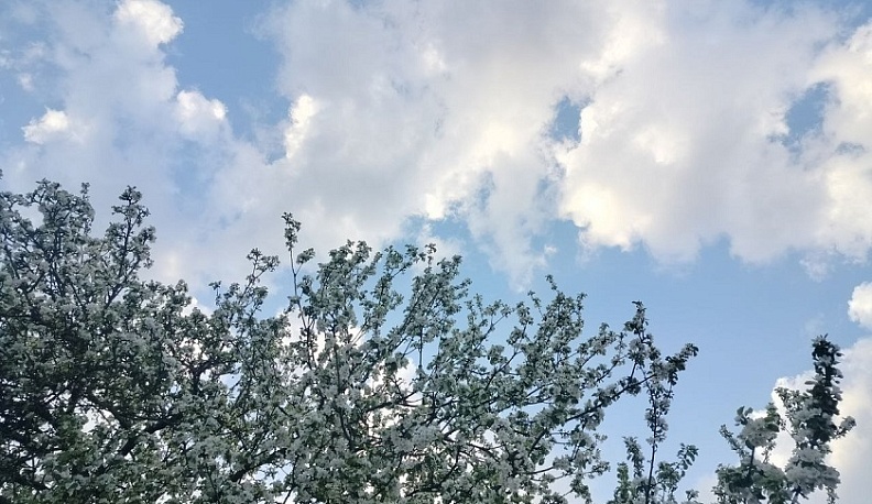 Температура воздуха в Калуге продолжает повышаться