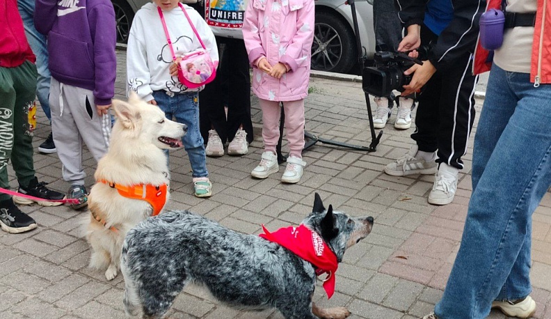 В Калуге приземлились «Белка и Стрелка»