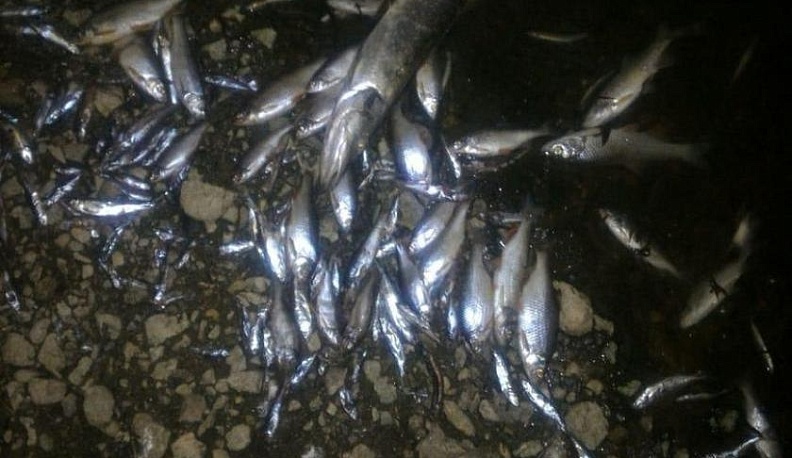 Артамонов поручил ускорить строительство очистных в Боровском районе