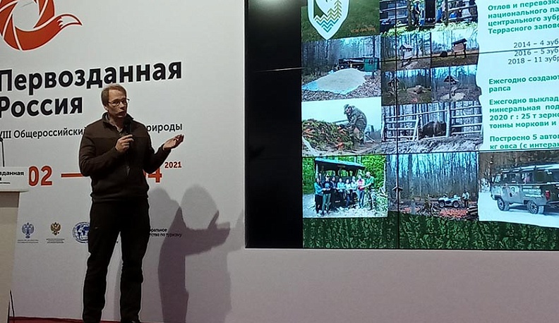 Калужские экологи поделились своим опытом спасения зубров