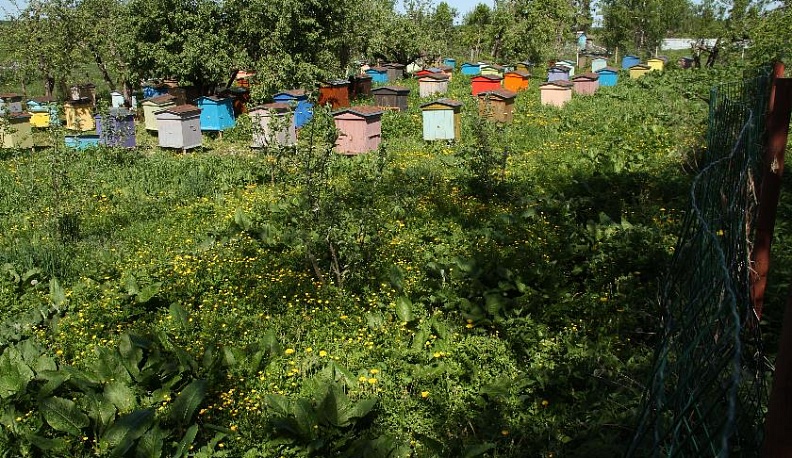 Вдали от городской суеты и шума 