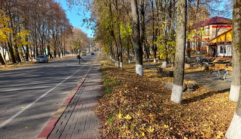 Жители Спас-Деменска провели осенний субботник