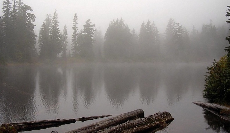 Сбросивший труп в реку калужанин предстанет перед судом