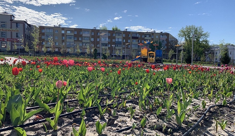 В Калужской области ожидается потепление на выходных