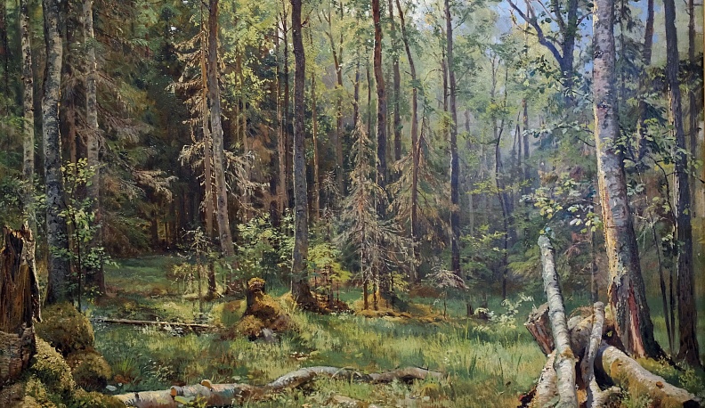 В Калуге открылась выставка работ Ивана Шишкина из собрания Русского музея