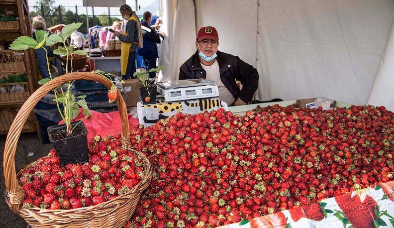 Новые краски «Калужской осени»