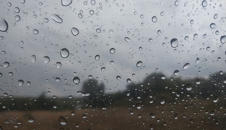 В Калуге прогнозируют дождь и +23