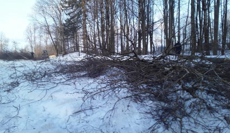 Побежит ребятня по дорожкам!