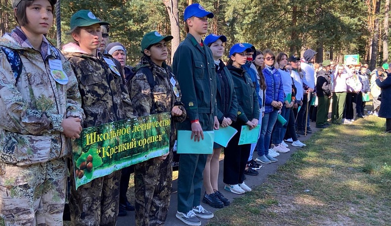 В Калужской области учащихся школьных лесничеств будут организованы тематические экскурсии в вузы и колледжи лесного хозяйства