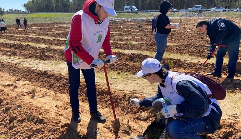 В Калужской области в честь памяти героев Великой Победы высадят около 170 тысяч деревьев