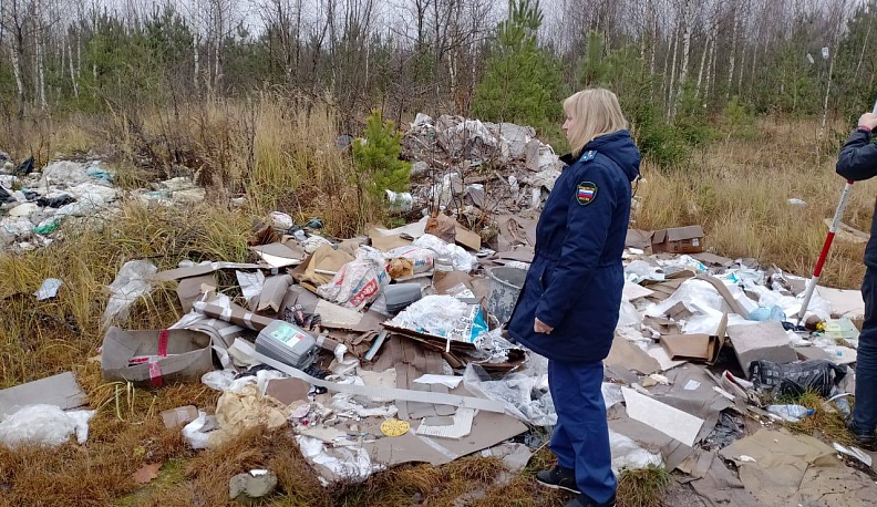 Калужское минприроды обязали устранить незаконную свалку