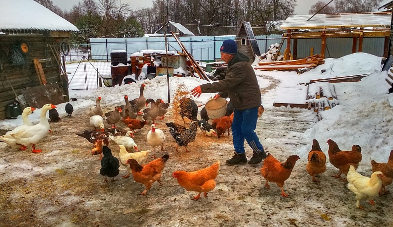 Чем деревня сильна