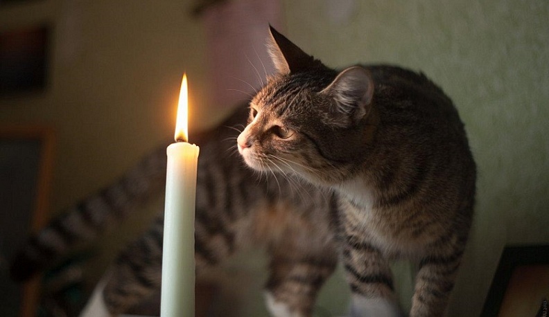 В четверг в центре Калуги и в Анненках отключат свет