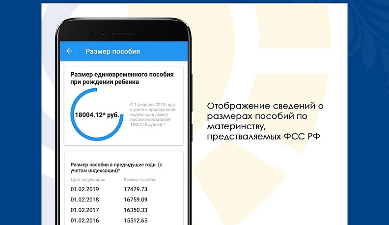 Калужане легко могут узнать точную сумму больничных или декретных выплат