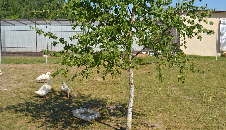 Родители участника СВО из Тарусы оформили соцконтракт на подсобное хозяйство