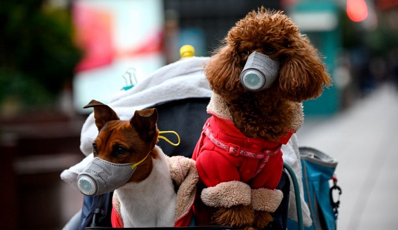 Выбросить друга