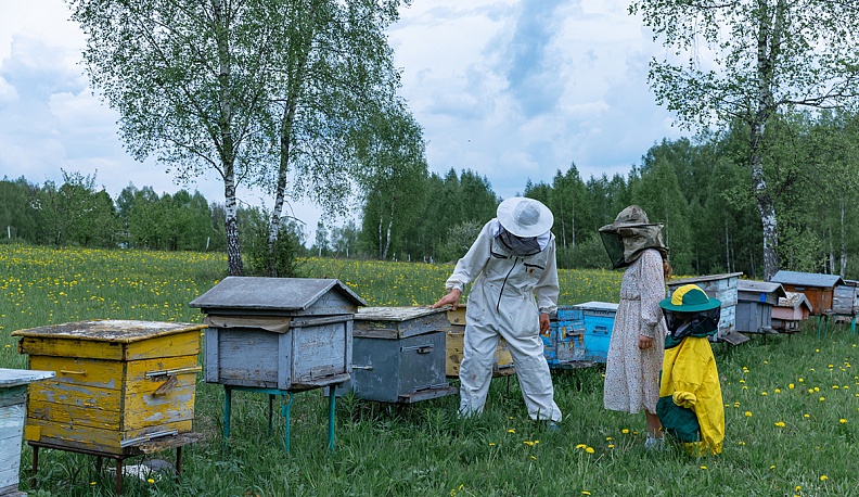 Нормальнодетная семья