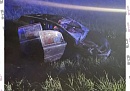 В Бабынинском округе автомобиль наехал на дикое животное