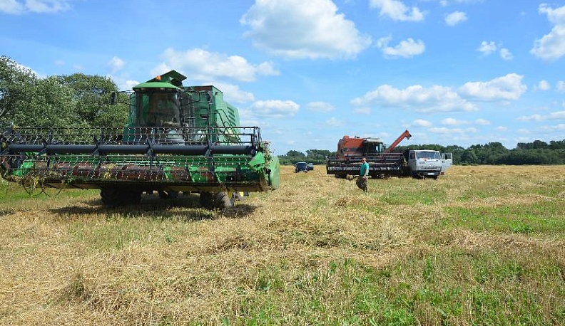 Жатва: горячий старт