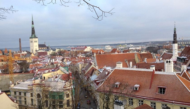 Куда приводят мечты