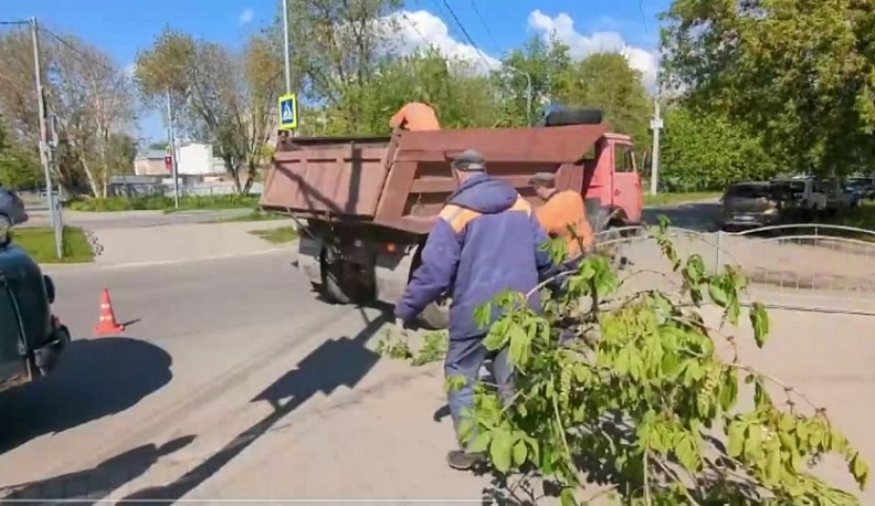 В Калуге начали обрезать деревья около дорожных знаков