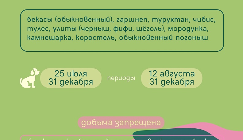 Сроки охоты объявлены в Калужской области