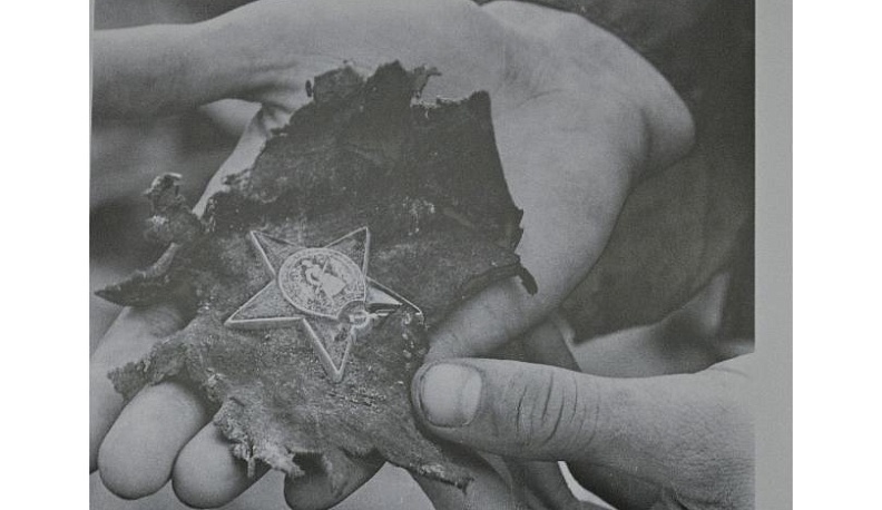 Поисковое движение в лицах