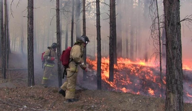 В Калужской области сгорело более 150 гектаров леса