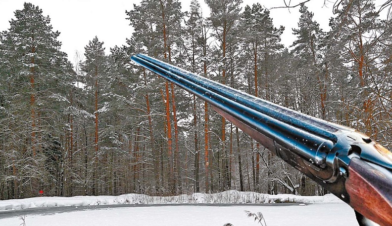 Кто с ружьём  в лес пришёл…