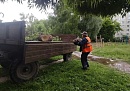 В Обнинске по просьбе жителя с детской площадки убрали спиленное дерево 