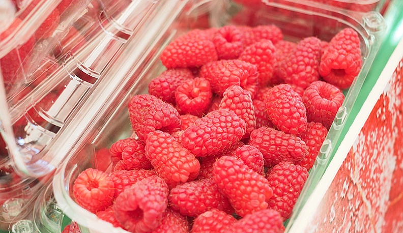 Семинар со вкусом малины