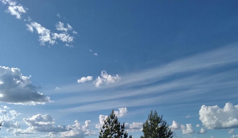 Калужан ждёт жаркое начало недели